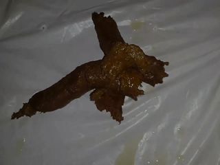 Sexy Woman In Fishnet Stockings Shits And Masturbates With Her Own Scat